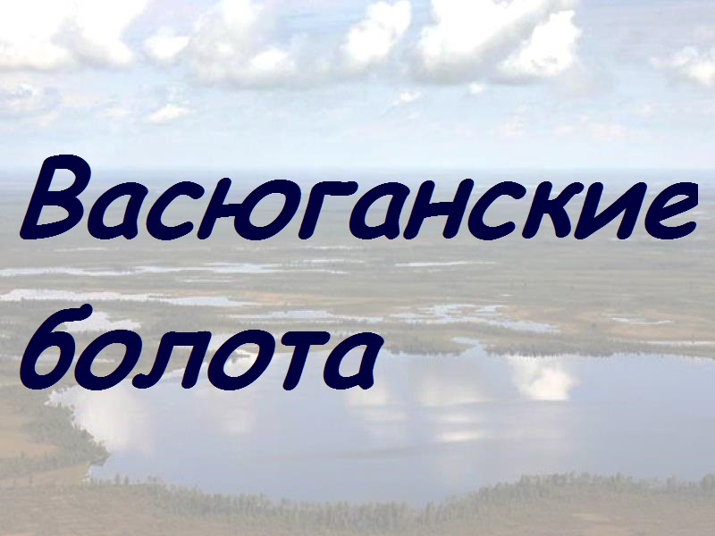 Васюганские болота